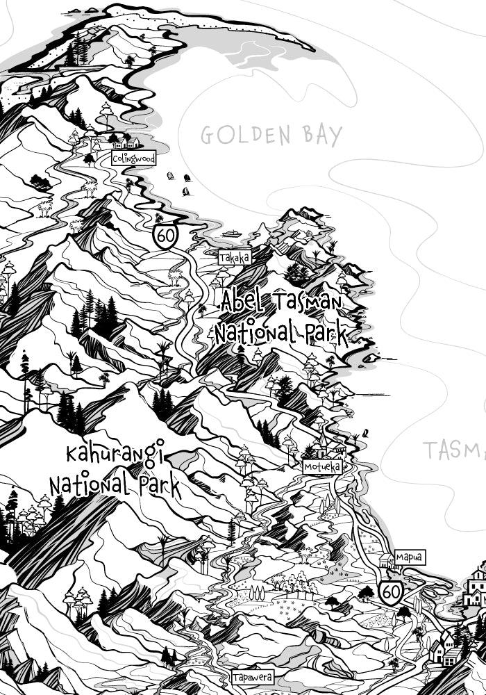 Nelson Tasman South Island detail of map
